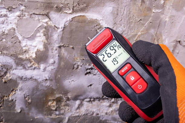 Best Post-Flood Mold Remediation in Argentine, MI