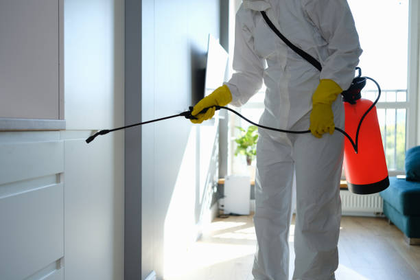 Best Localized Mold Remediation (e.g., coastal areas, humid climates) in Argentine, MI